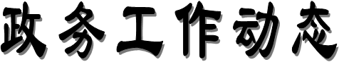 政务工作动态