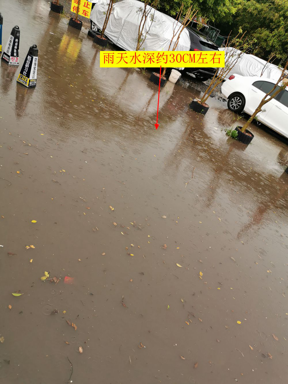 图片1.png