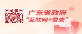 广东省政府“互联网+督查”