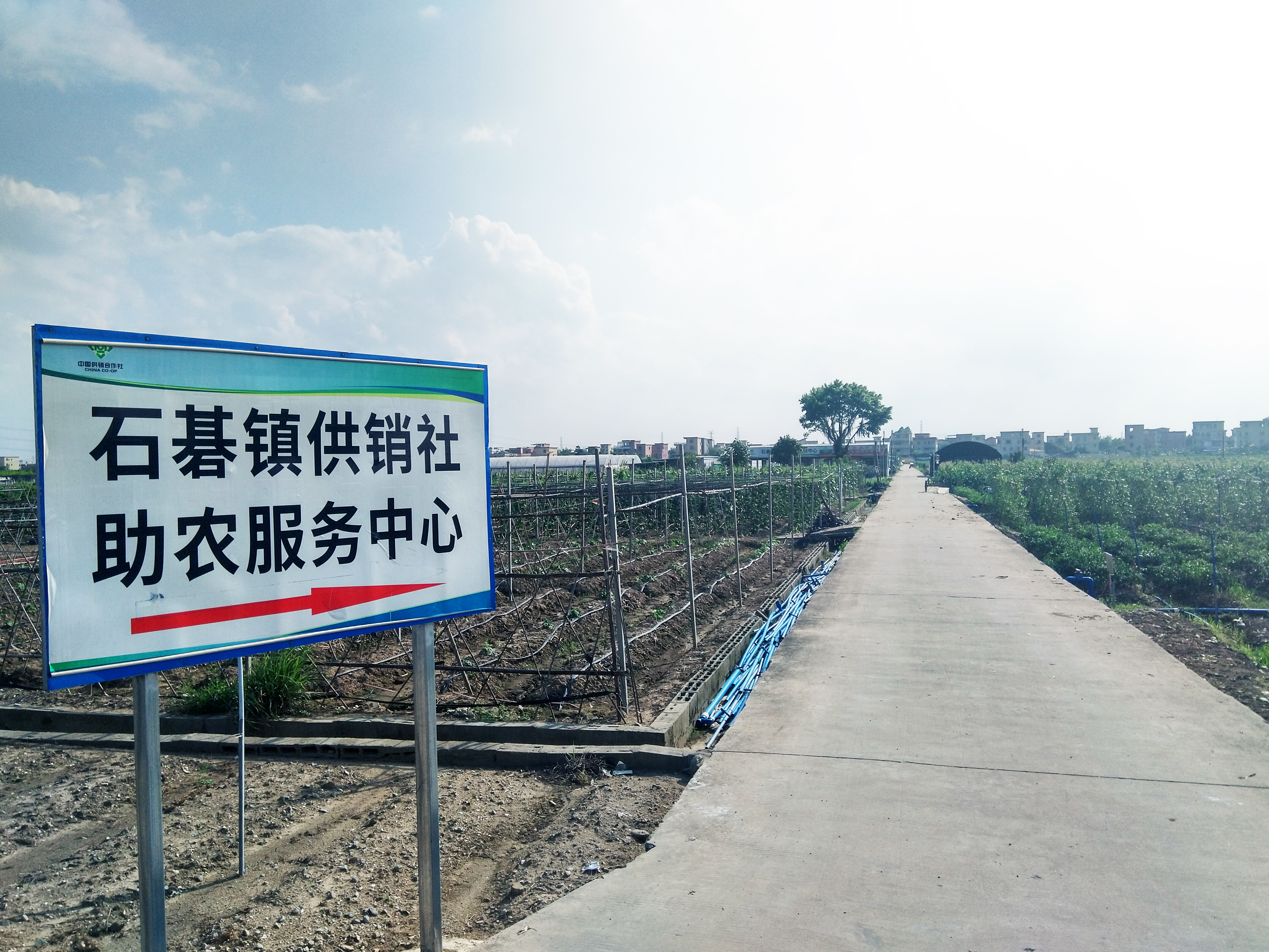 助农服务中心、禺锋蔬菜种植农民专业合作社.jpg