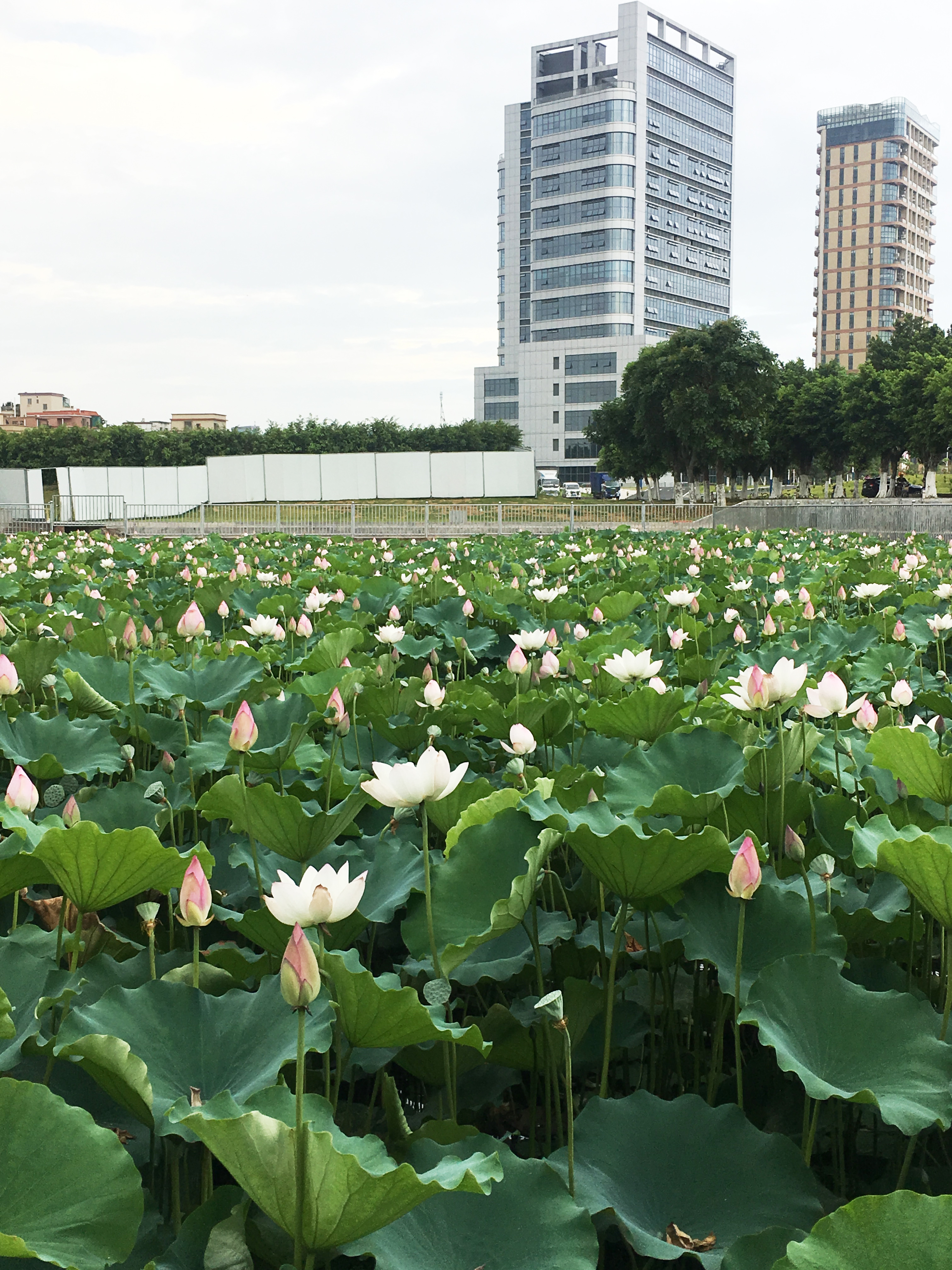 东环天地 (3).jpg