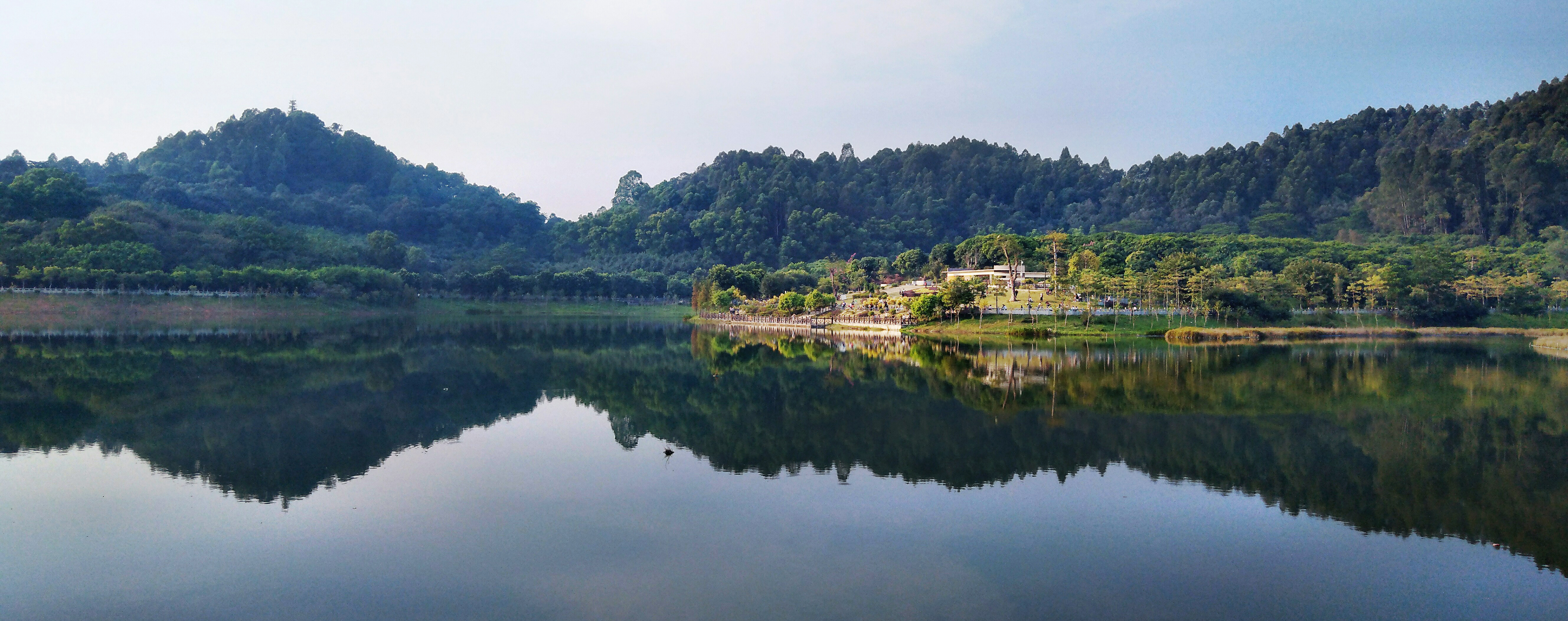 大夫山森林公园.jpg
