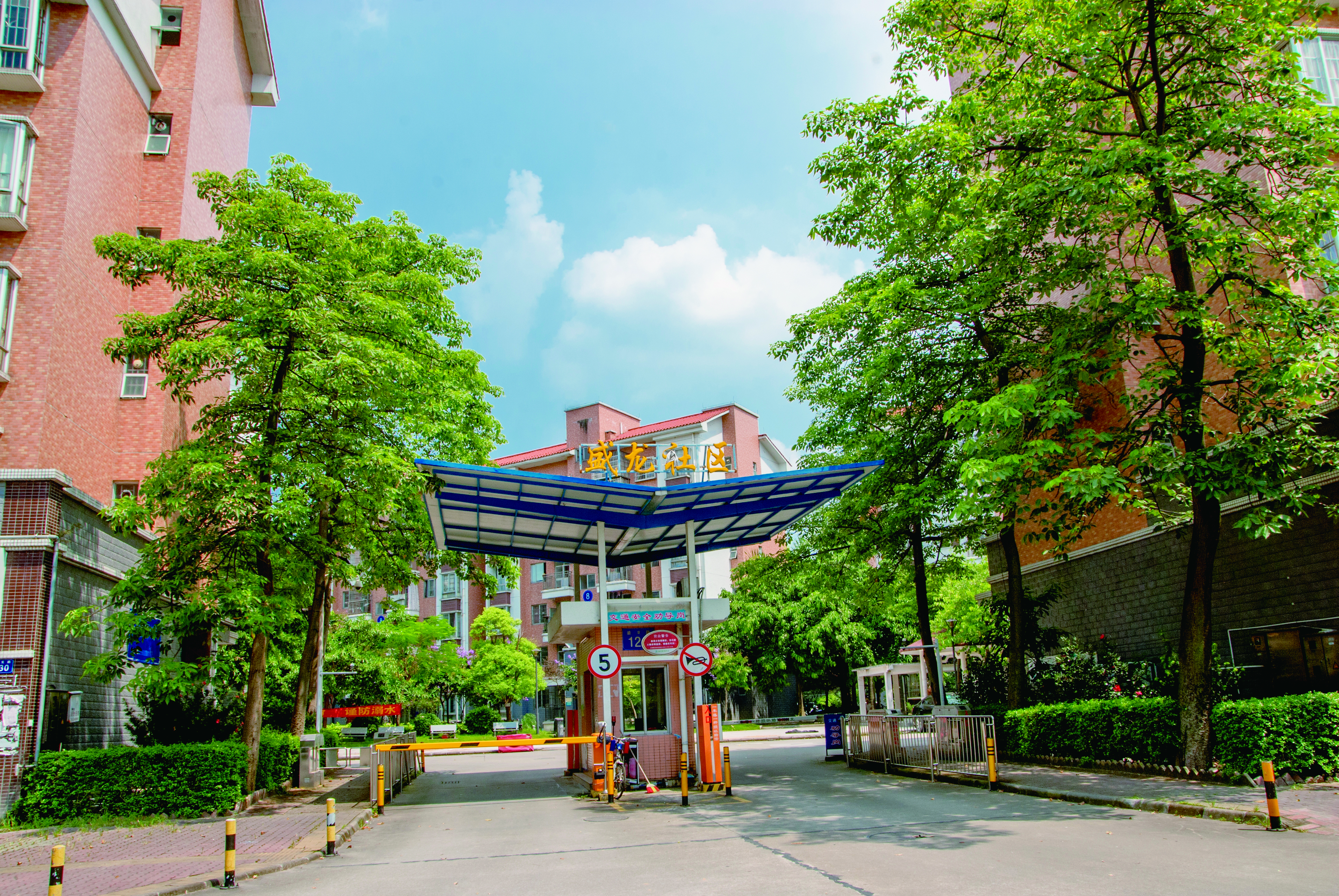 盛龙社区（林光摄）.jpg
