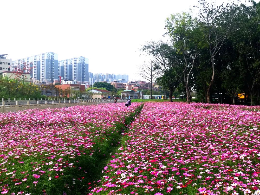 改造后 (2).jpg