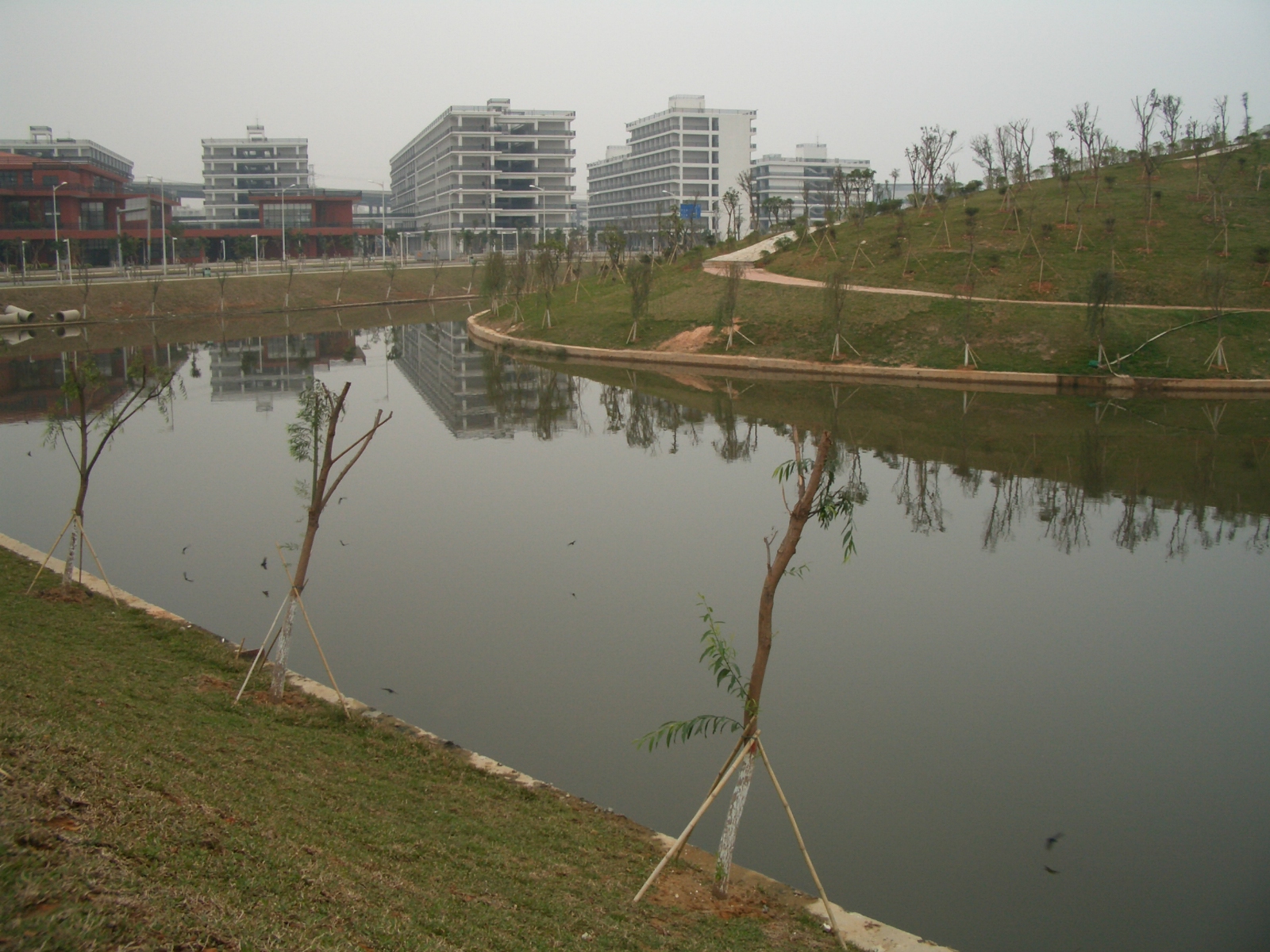 封二4：2004年底，绿化等配套逐渐完善中的广州大学城.JPG